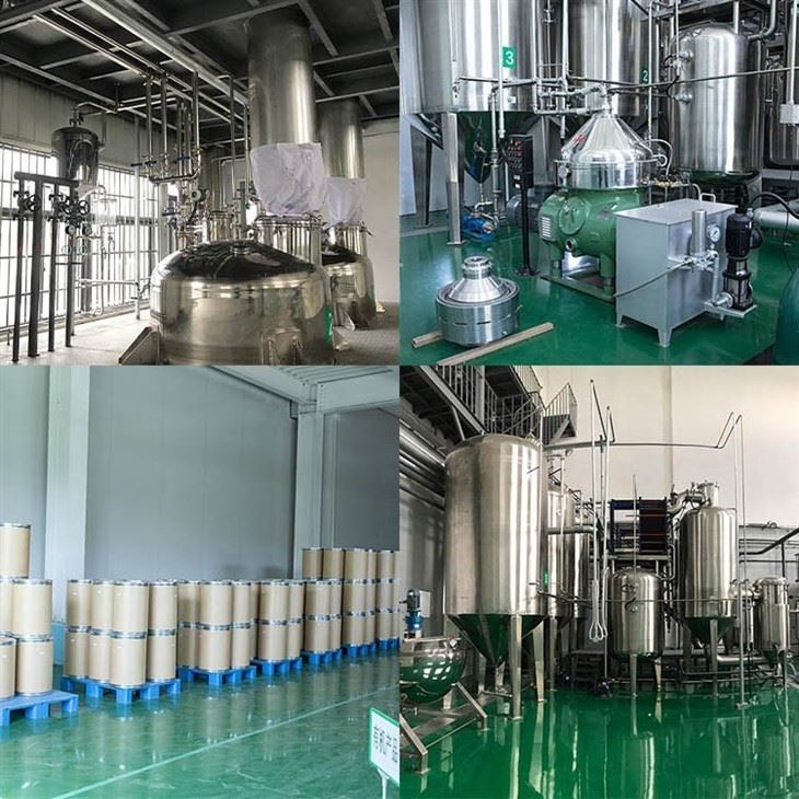 Blackberry Extract factory
